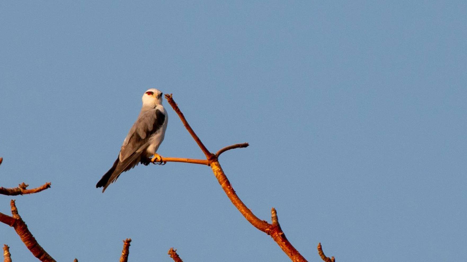 Dera Baghdarrah Nature Retreat Udaipur Ngoại thất bức ảnh
