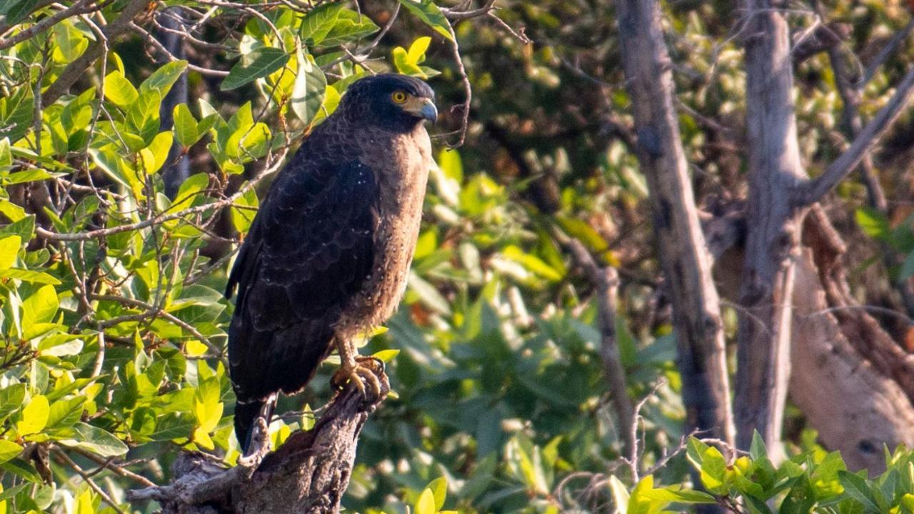 Dera Baghdarrah Nature Retreat Udaipur Ngoại thất bức ảnh