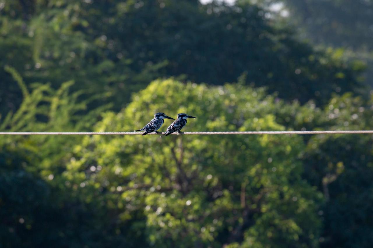 Dera Baghdarrah Nature Retreat Udaipur Ngoại thất bức ảnh