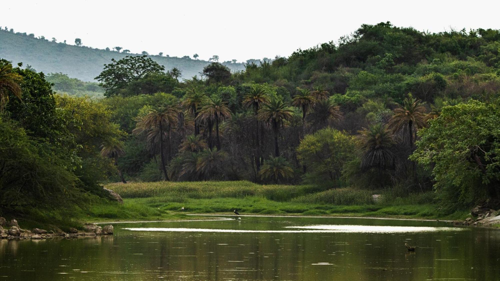 Dera Baghdarrah Nature Retreat Udaipur Ngoại thất bức ảnh